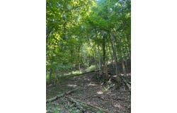 Ripple Rd, Mc Keesport, PA 15131