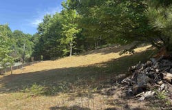 E Hoxie Road, Cedar, MI 49621