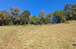 Crawford Cove Rd, Sylva, NC 28779