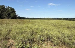 410 Acres, Stockton, MO 65785