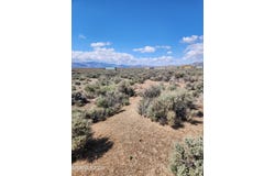 42 Acciari Road, Smith, NV 89430