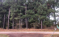 County Road 4130, Pittsburg, TX 75686