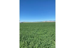 1940 N 800 W, Preston, ID 83263