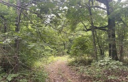 Sylvan Lane, Clinton, AR 72031
