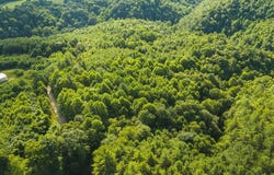 Sawmill Hill Road, Willis, VA 24380