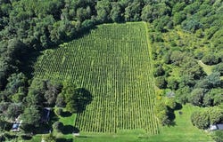 Bennett State Road, Forestville, NY 14062