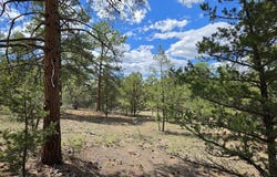 638 Keith Ln, Texas Creek, CO 81223