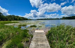 3 Acres TIMBERING HAVEN DR, Eagle River, WI 54521