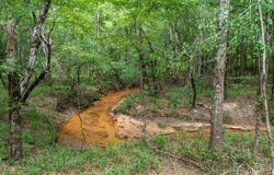 3 Comers Pond Rd, Pittsview, AL 36871