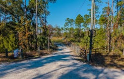 305 NE Sugar Hill Rd, Steinhatchee, FL 32359