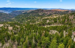 Terry Peak Summit Rd lot: 2, Lead, SD 57754