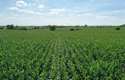 Benson Street, Weldon, IA 50264