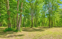 Pennal St., Hawkins, TX 75765