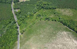8.14 Acres off Dalcho Rd, Latta, SC 29565
