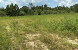 328 sasser rd, BRANTLEY, AL 36009