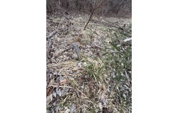 Clement Rd, Clarkston, MI 48346