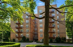 930 E 7th Street, Brooklyn, NY 11230