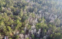 S County Line Road, Columbia, MS 39429