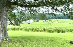 45 Cave Hill Way, Eubank, KY 42567
