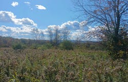 Cogar Drive, Frankfort, NY 99999