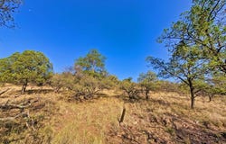 203 Stage Coach Pass, Fort Davis, TX 79734