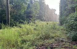 Tbd Battle Rd, Ethel, LA 70730