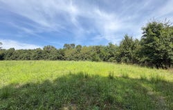 9161 Bohlman Rd, Concordia, MO 64020