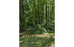 Pine Tree Lane, Santa Claus, IN 47579