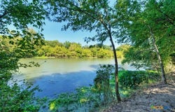 213 River Front Drive, Cedar Creek, TX 78612