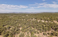 TBD CR 310, Ignacio, CO 81137
