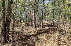TBD Tract 7 Chaparral Lane, Mena, AR 71953