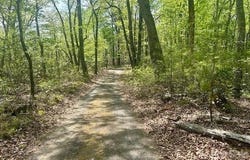 Mountain View Circle, Lenoir, NC 28645