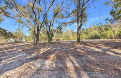 Shady Oaks Drive, Perry, FL 32348