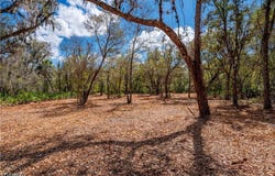 SE Hwy 31, Arcadia, FL 34266