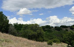 221 CR 250, Star, TX 76880