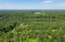 86.73 AC Tremont Rd, Cordele, GA 31015