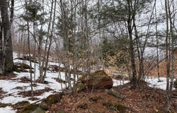 Buckfield, ME 04220