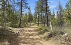 8300 E Lodge Pole Ln, Chattaroy, WA 99003