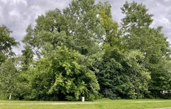 887 Hemingway Trail, Valparaiso, IN 46383