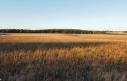 295th Street, Brighton, IA 52540
