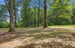 301 Maple Street, Florence, MS 39073