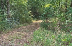 FM 1845 Pine Tree Road, Longview, TX 75604