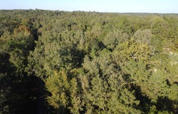 Levee RD, Yokena, MS 39180