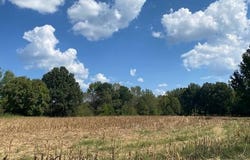 2770 Hwy 305, COLDWATER, MS 38618