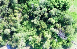 199 COUGAR Way, ROTONDA WEST, FL 33947