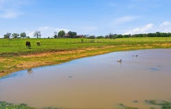 3601 Springfield Road, Springtown, TX 76082
