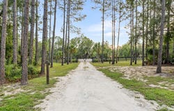 2011 SW HWY 361, Steinhatchee, FL 32359