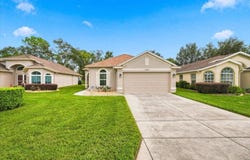 11064 Westerly Drive, Spring Hill, FL 34609