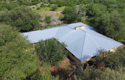 Honey Mesquite, Freer, TX 78357