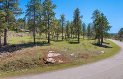 426 Lone Elk Road, Spearfish, SD 57783
